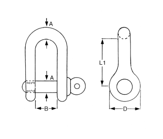 Picture of Stainless Steel Dee Shackle